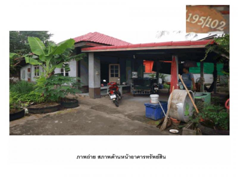 ที่ดินพร้อมสิ่งปลูกสร้างหลุดจำนอง ธ.ธนาคารออมสิน กาญจนบุรี เมืองกาญจนบุรี หนองบัว