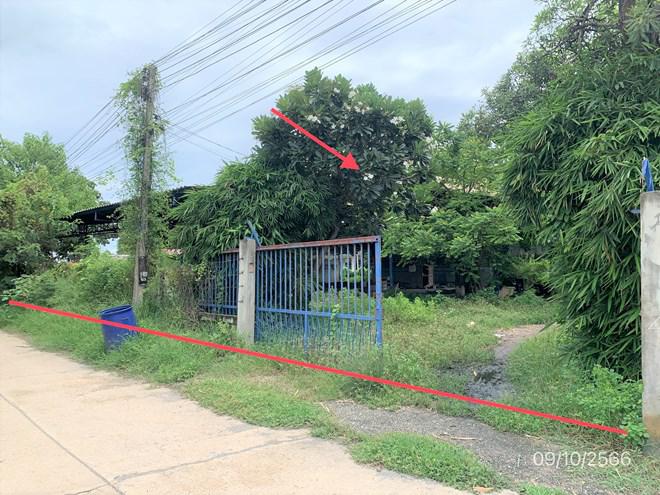 บ้านเดี่ยวหลุดจำนอง ธ.ธนาคารกสิกรไทย กาญจนบุรี ท่ามะกา ท่าไม้